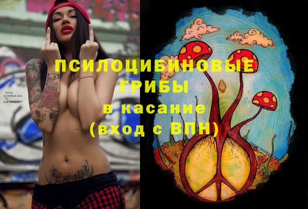 круглые Надым