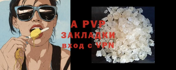 спиды Заполярный