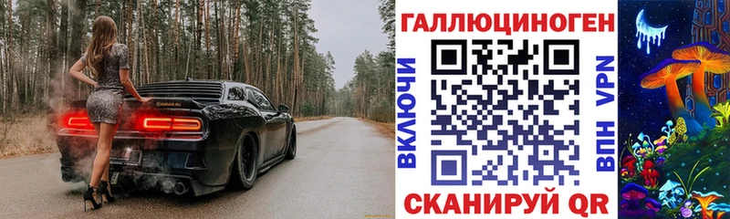 hydra ONION  Калязин  Псилоцибиновые грибы Psilocybine cubensis  цена  